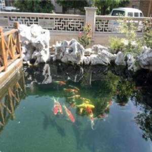 全自動魚池凈化系統