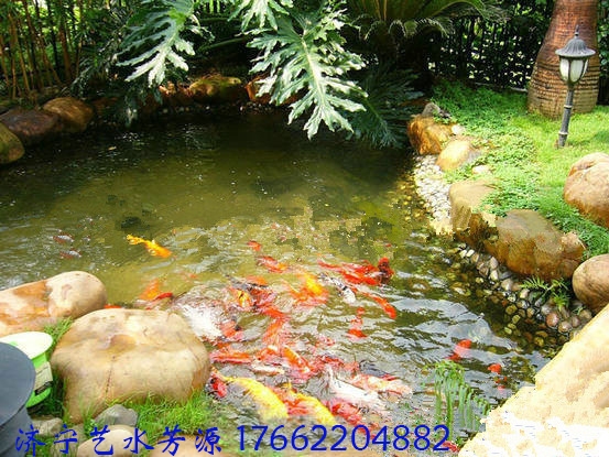 你知道別墅魚池水處理設(shè)備的有什么優(yōu)勢？