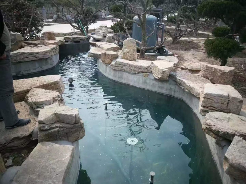 魚池過濾器客戶實(shí)地效果展示